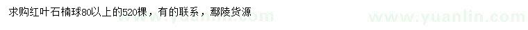 求購(gòu)80公分以上紅葉石楠球