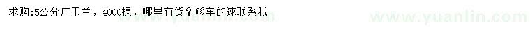 求購5公分廣玉蘭