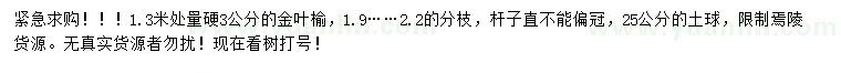 求購1.3米量硬3公分金葉榆