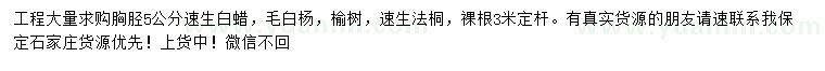 求購速生白蠟、毛白楊、榆樹