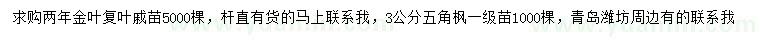 求購兩年金葉復(fù)葉槭苗、3公分五角楓