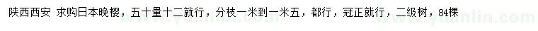 求購50量12公分日本晚櫻