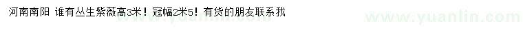 求購高3米叢生紫薇