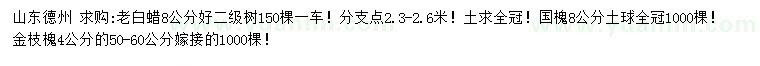 求購老白蠟、國槐、金枝槐
