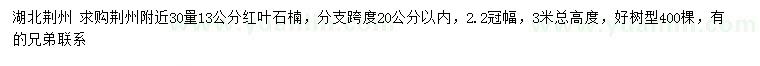 求購(gòu)30量13公分紅葉石楠