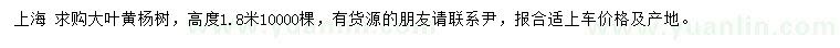 求購高度1.8米大葉黃楊