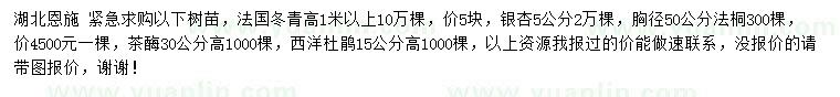 求購法國冬青、銀杏、法桐等