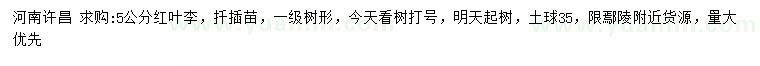 求購5公分紅葉李