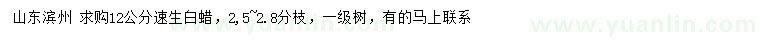 求購(gòu)12公分速生白蠟