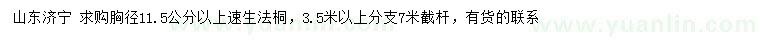 求購胸徑11.5公分以上速生法桐