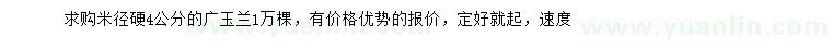 求購(gòu)米徑硬4公分廣玉蘭