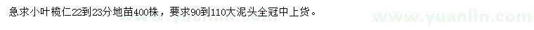 求購22-23公分小葉欖仁