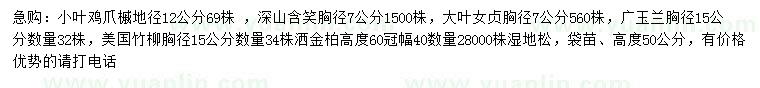 求購小葉雞爪槭、深山含笑、大葉女貞等