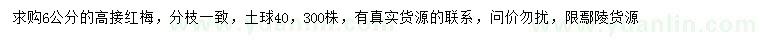求購6公分高接紅梅