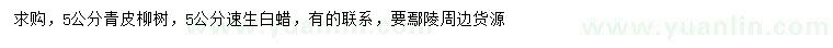 求購(gòu)5公分青皮柳樹(shù)、速生白蠟