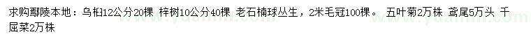 求購(gòu)烏桕、梓樹、叢生老石楠球等