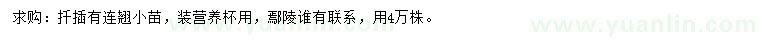 求購連翹小苗