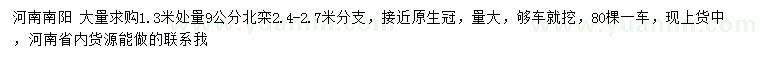 求購1.3米處量9公分北欒