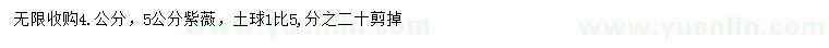 求購4、5公分紫薇