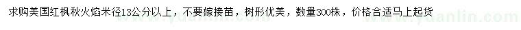 求購米徑13公分以上美國紅楓秋火焰