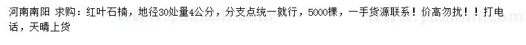 求購地徑30處量4公分紅葉石楠