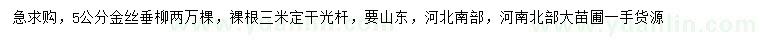 求購(gòu)5公分金絲垂柳