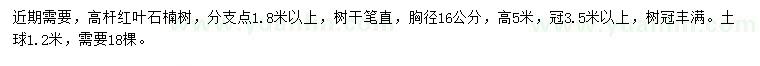 求購胸徑16公分高桿紅葉石楠