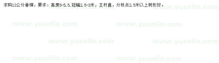 求購12公分垂柳