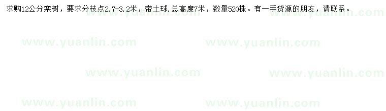 求購12公分欒樹