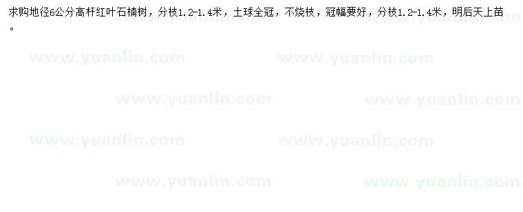 求購(gòu)地徑6公分紅葉石楠