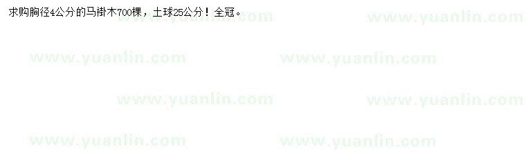 求購胸徑4公分馬褂木