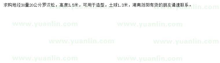 求購(gòu)地徑30量20公分羅漢松