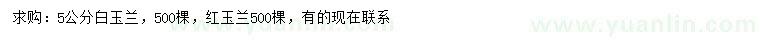 求購(gòu)5公分白玉蘭