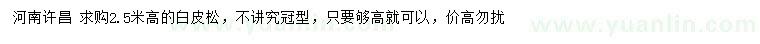 求購高2.5米白皮松