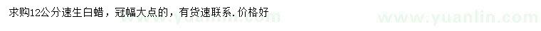 求購12公分速生白蠟