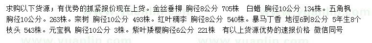 求購金絲垂柳、白蠟、五角楓等