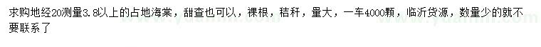 求購(gòu)地徑20量3.8公分以上占地海棠