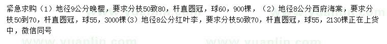 求購(gòu)?fù)頇选⑽鞲Ｌ?、紅葉李