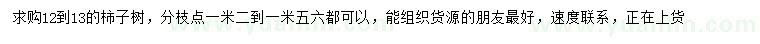 求購12-13公分柿子樹
