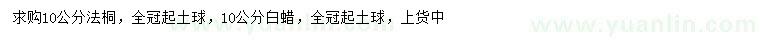 求購10公分法桐、白蠟