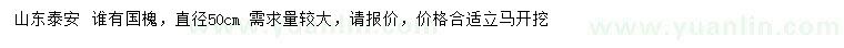 求購(gòu)直徑50公分國(guó)槐