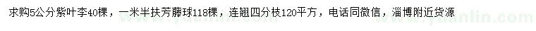 求購(gòu)紫葉李、扶芳藤球、連翹