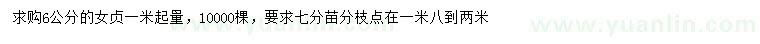 求購1米起量6公分女貞