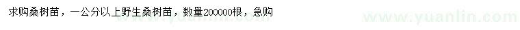 求購(gòu)1公分以上桑樹(shù)苗