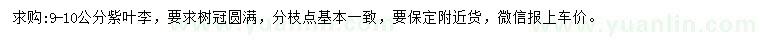 求購(gòu)9-10公分紫葉李