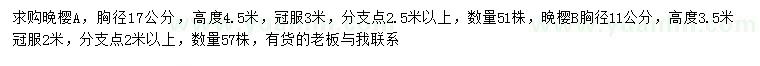 求購17公分晚櫻、11公分晚櫻
