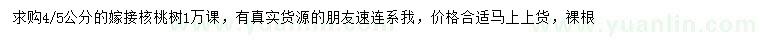 求購(gòu)4、5公分嫁接核桃樹