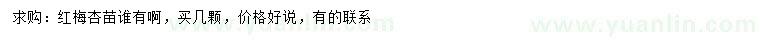 求購(gòu)紅梅杏苗