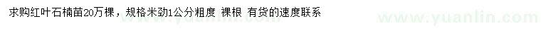 求購米徑1公分紅葉石楠苗