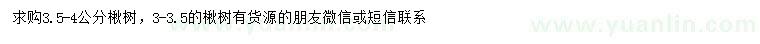 求購3.5-5公分楸樹
